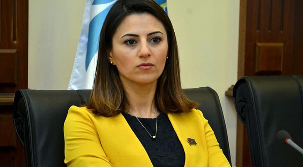 turk-birliyi-qlobal-guce-chevrilir-2