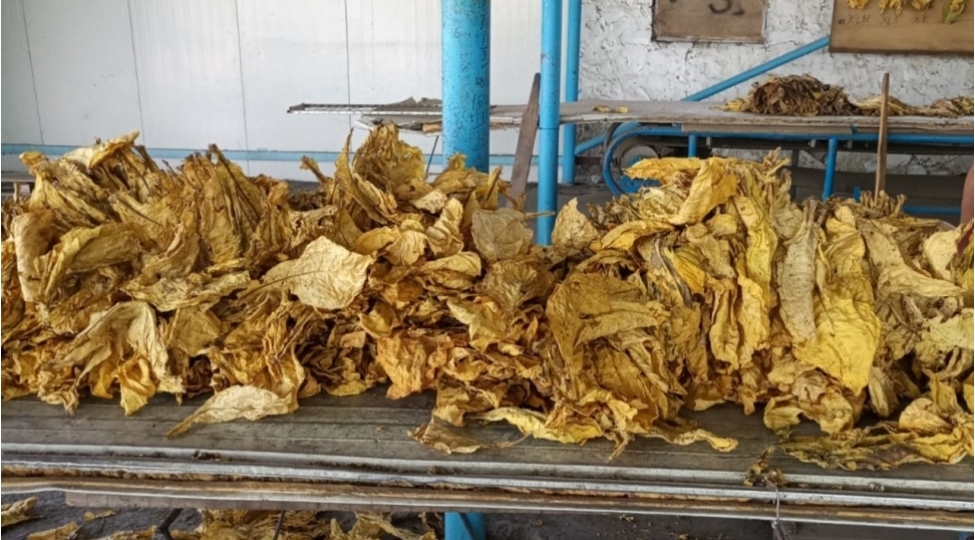 azerbaycan-tutun-idxalina-chekdiyi-xerci-6-e-yaxin-artirib