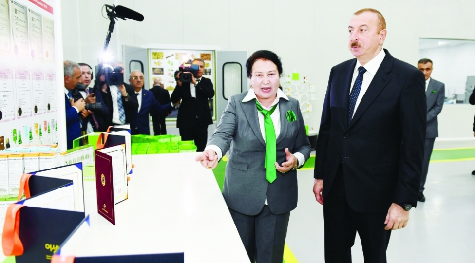 infrastruktur-layihelerinin-icrasinin-davam-etdirilmesiregional-inkishaf-proqramin-esas-meqsedlerindendir