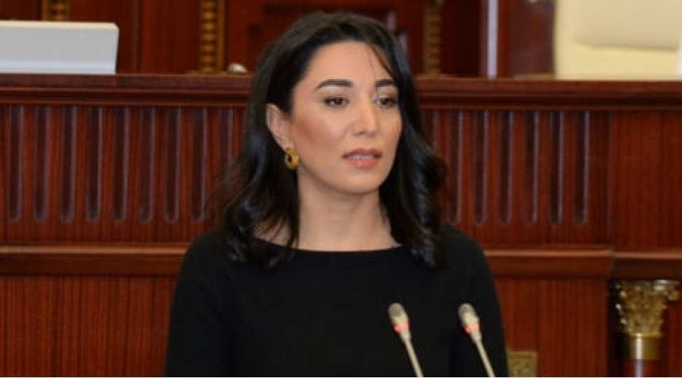 ombudsman-20-yanvar-faciesi-ile-bagli-beyanat-verib