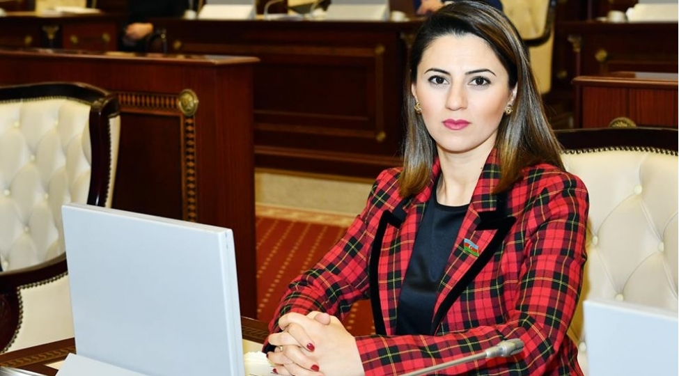 azerbaycan-atet-ile-emekdashliga-praktiki-mustevide-baxir
