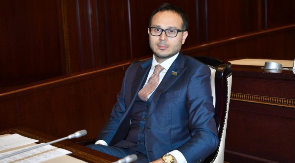 goyche-zengezur-respublikasi-yaxud-ermeni-maraqlarina-xidmet
