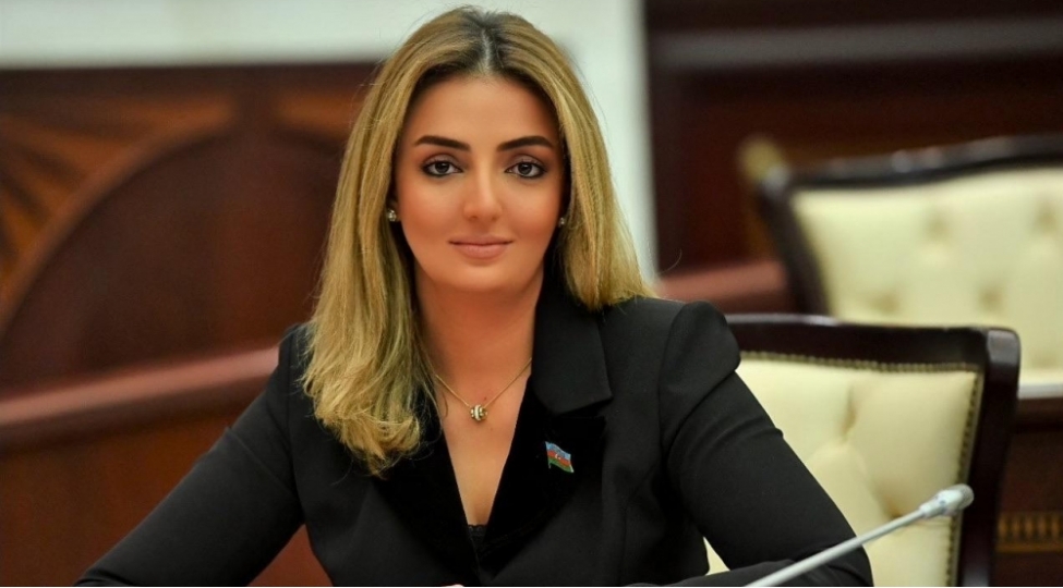 dovlet-departamentinin-hesabatinda-indiki-ermenistan-erazisinde-azerbaycan-xalqina-mexsus-mili-medeni-irsle-bagli-faktlar-da-eks-olunmali-idi