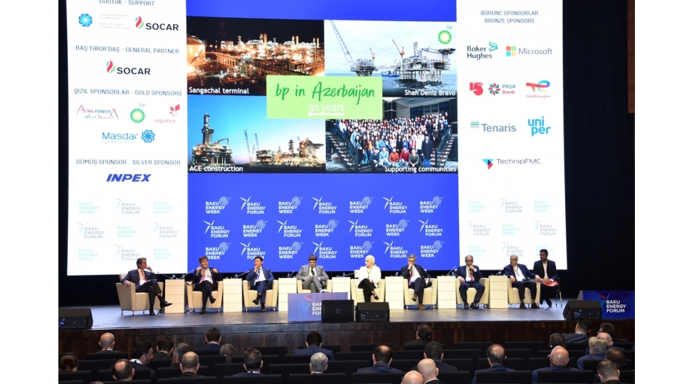 cenubqaz-dehlizi-avropanin-enerji-tehlukesizliyinde-boyuk-rol-oynayir