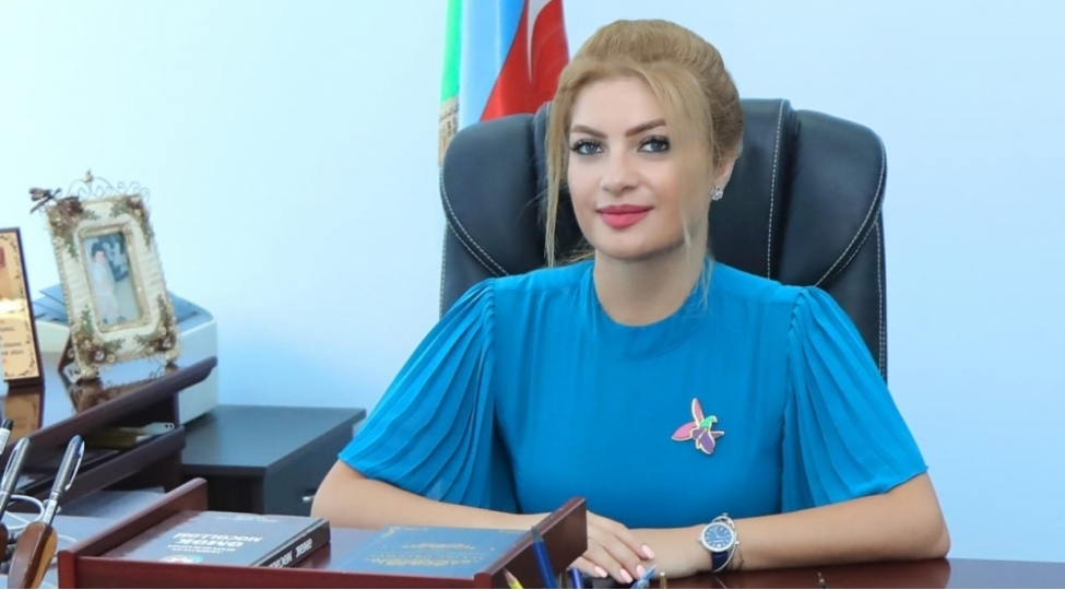 tehlukesizlik-meselesi-beynelxalq-gundelikde-dayanan-esas-movzulardan-birine-chevrilib