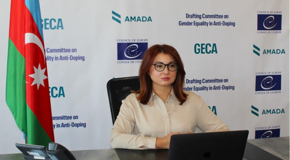 azerbaycan-avropa-shurasinin-xususi-komitesinin-iclasina-sedrlik-edib