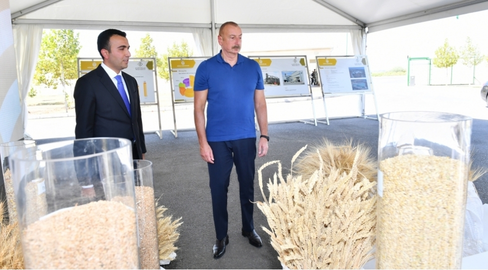 regionlarin-dinamik-inkishaf-olkemizidaha-da-guclendirir
