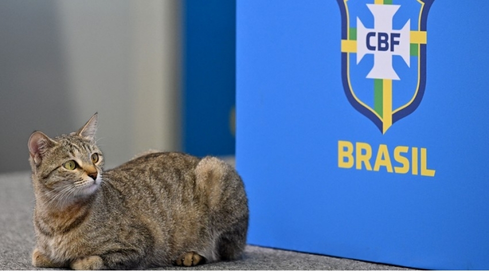 braziliya-futbol-konfederasiyasi-pishiye-gore-mehkemeye-verilib