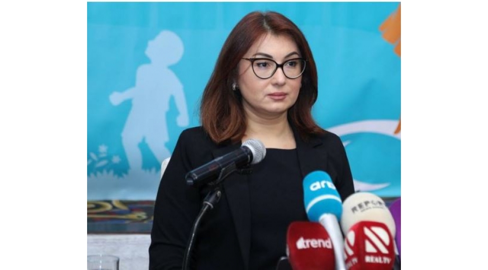 bezi-idman-federasiyalari-duzgun-melumatlar-vermir-shefeq-huseynli