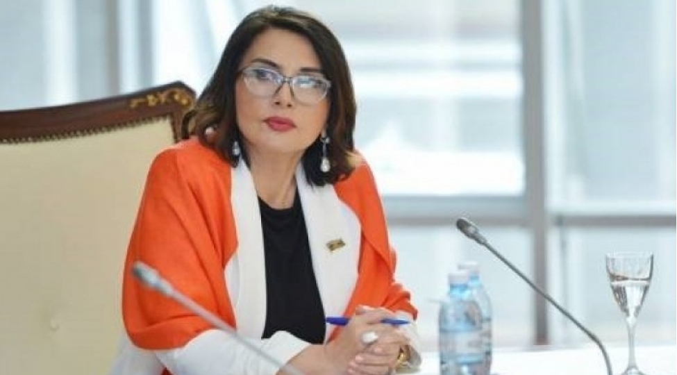 azerbaycan-ruminiya-emekdashligin-yeni-platformasi