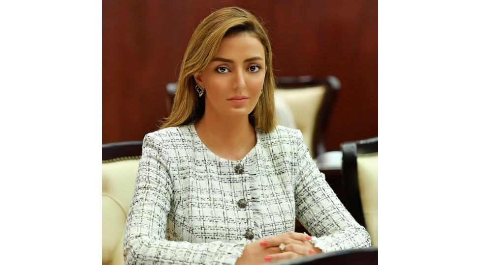 milli-fealiyyet-proqrami-insan-huquqlarinin-mudafiesinin-semereliliyini-artirir