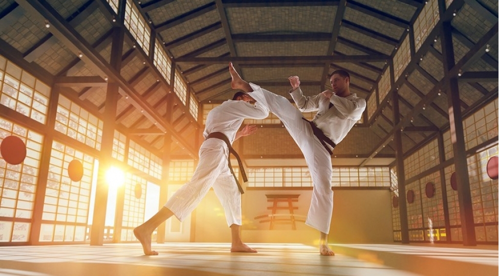 azerbaycan-karate-federasiyalari-assosiasiyasi-ictimai-birliyinin-adi-deyishdirilib