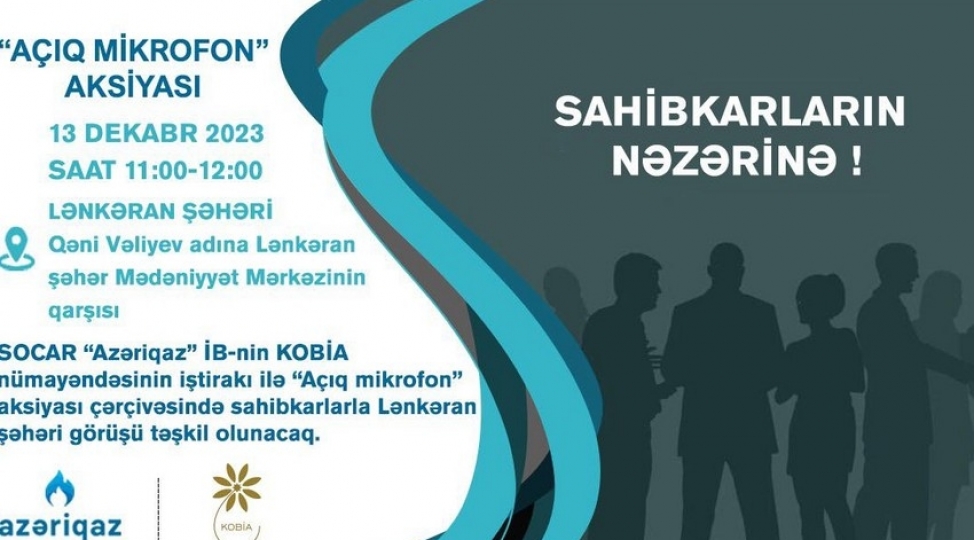 azeriqazin-sahibkarlarla-novbeti-gorushu-lenkeranda-kechirilecek