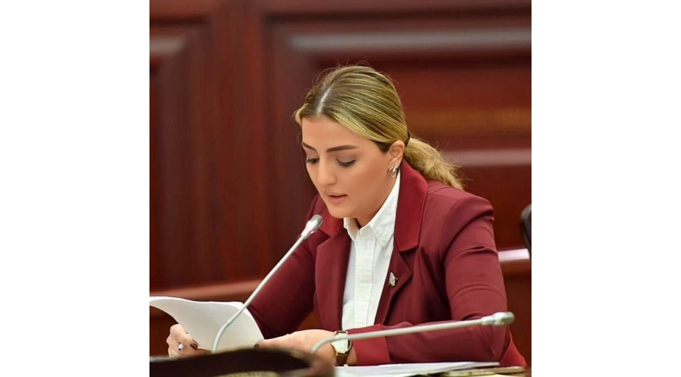 ermenistan-anlamalidir-ki-qerb-onun-xilaskari-deyil-konul-nurullayeva
