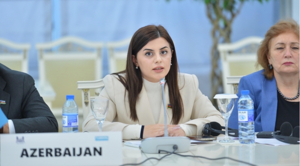 iqlim-deyishmeleri-tekce-etraf-muhite-deyil-sehiyyeye-menfi-tesir-gosterir-pervane-veliyeva