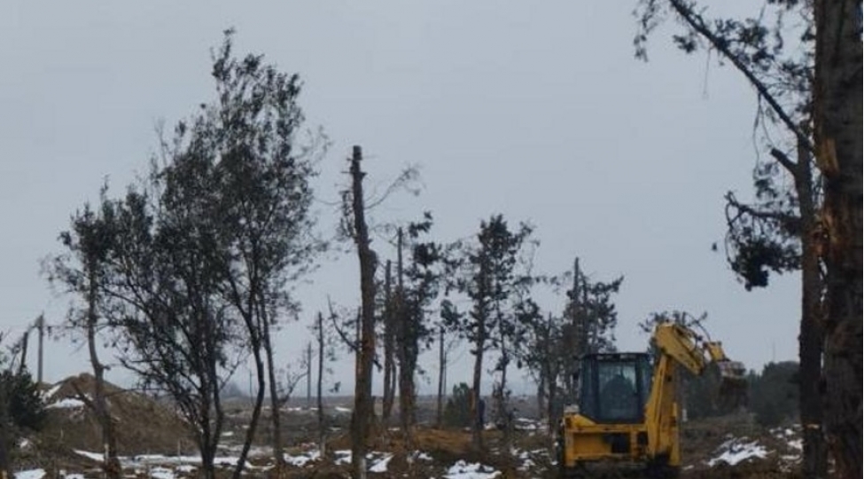 bakida-yeni-avtomobil-yolu-ile-elaqeli-tikinti-altina-dushen-yashilliqlarin-kochurulmesine-bashlanilib