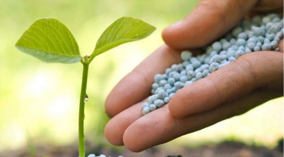 azerbaycanin-gubre-ixracindan-qazanci-32-den-chox-azalib