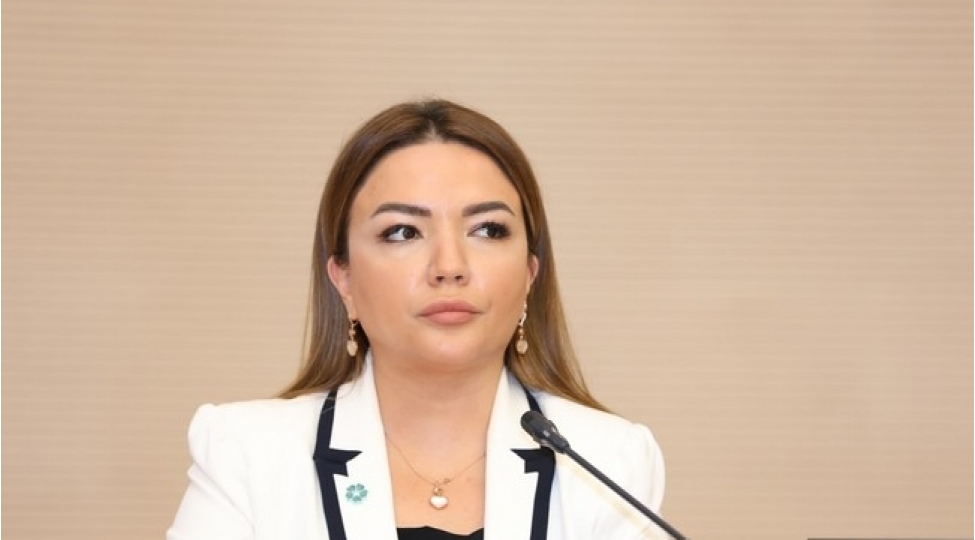 aygun-eliyeva-qlobal-cenub-qht-platformasi-azerbaycan-uchun-novbeti-yenilikdir