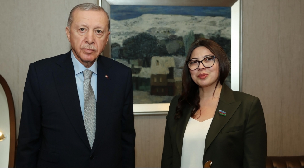 sebine-salmanova-erdoganla-gorushub