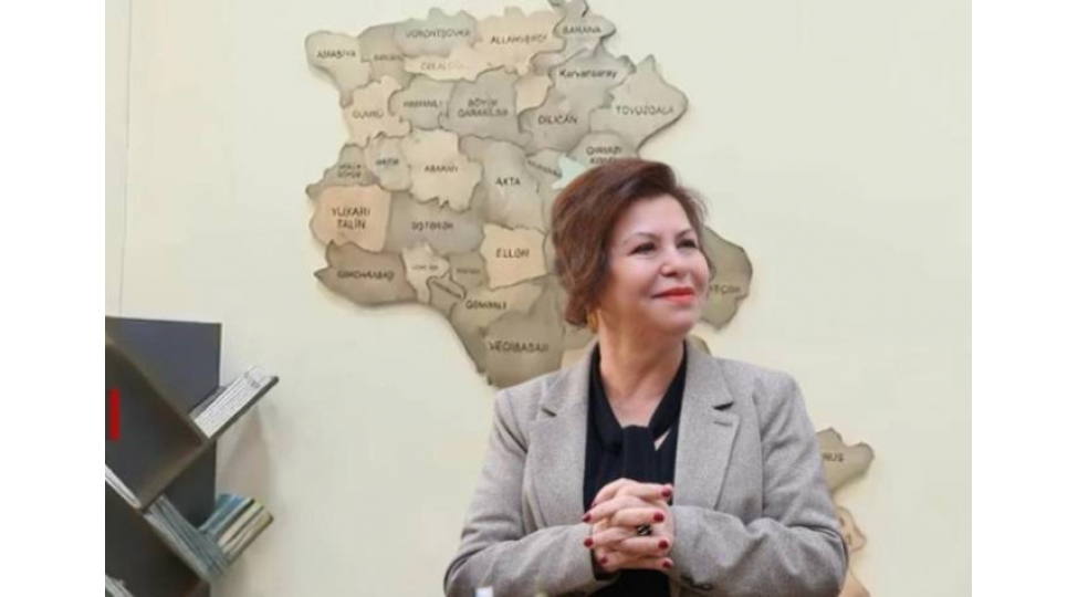 professor-mahire-huseynova-ermenilere-cavab-verdi-foto