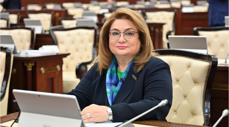 15-iyun-azerbaycanin-qurtulush-gunu-dovletchilik-tariximizin-donush-noqtesi
