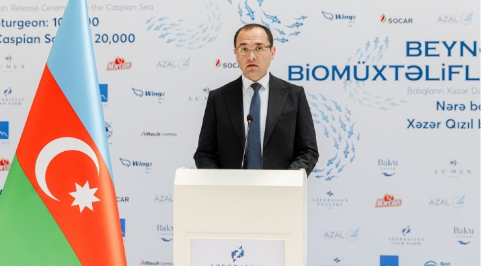 mecnun-memmedov-ismayillida-vetendashlari-qebul-edecek