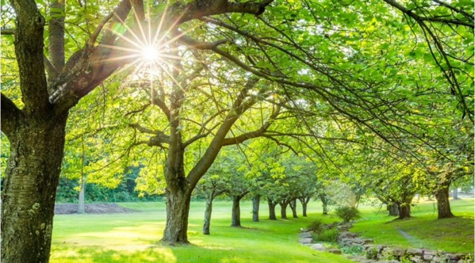 yay-fesli-azerbaycana-iyunun-21-i-daxil-olacaq