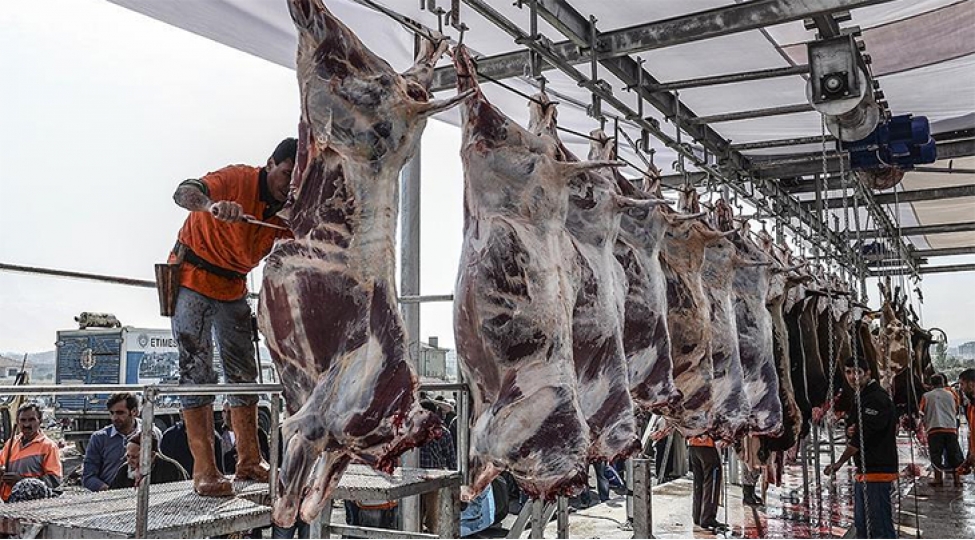 qurban-bayraminda-3-milyon-330-min-heyvan-kesilib-turkiyede