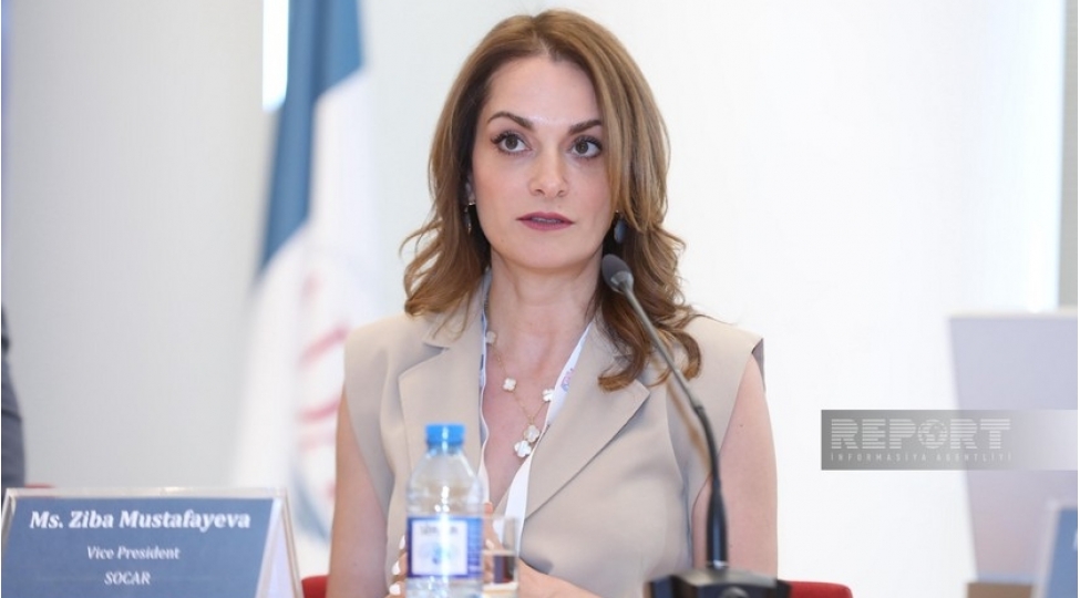 azerbaycan-tekce-enerji-resurslarinin-deyil-hem-de-biliklerin-ixracatchisina-chevrilir-ziba-mustafayeva