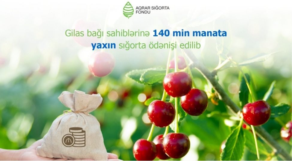 sigortalanan-gilas-baglarinin-sahesi-ve-sigorta-odenishleri-suretle-artir