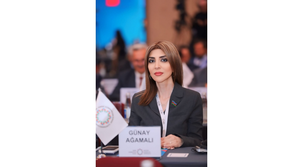 ana-dilimiz-her-bir-azerbaycanlinin-qurur-menbeyidir