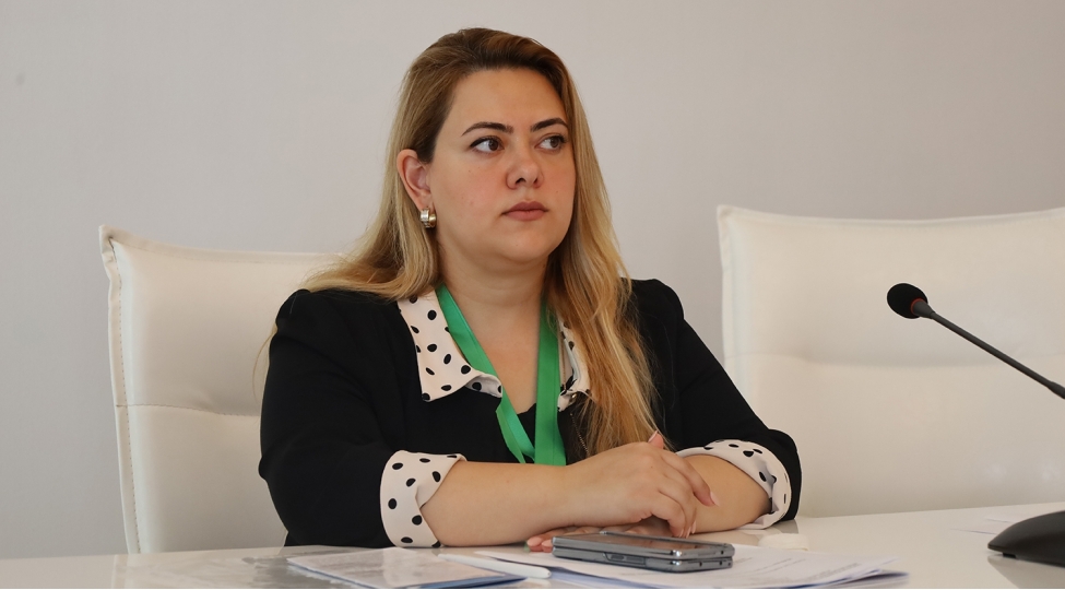 diplomatiya-tariximizde-muhum-qelebe