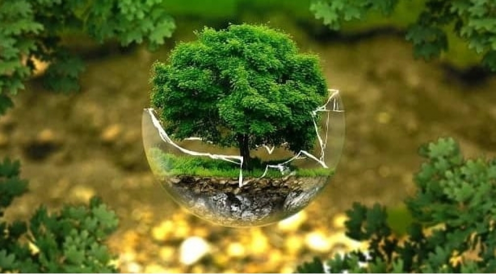 etraf-muhite-ve-kommunal-teserrufata-en-chox-vesait-ayrilib