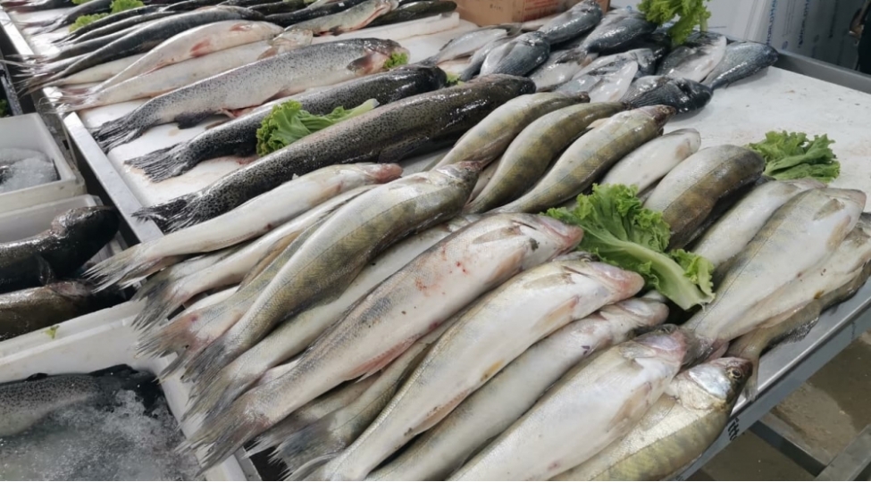 bakida-baliq-yarmarkasi-fealiyyete-bashlayib