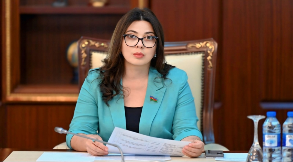 azerbaycanin-herbi-gucunun-novbeti-gostericisi