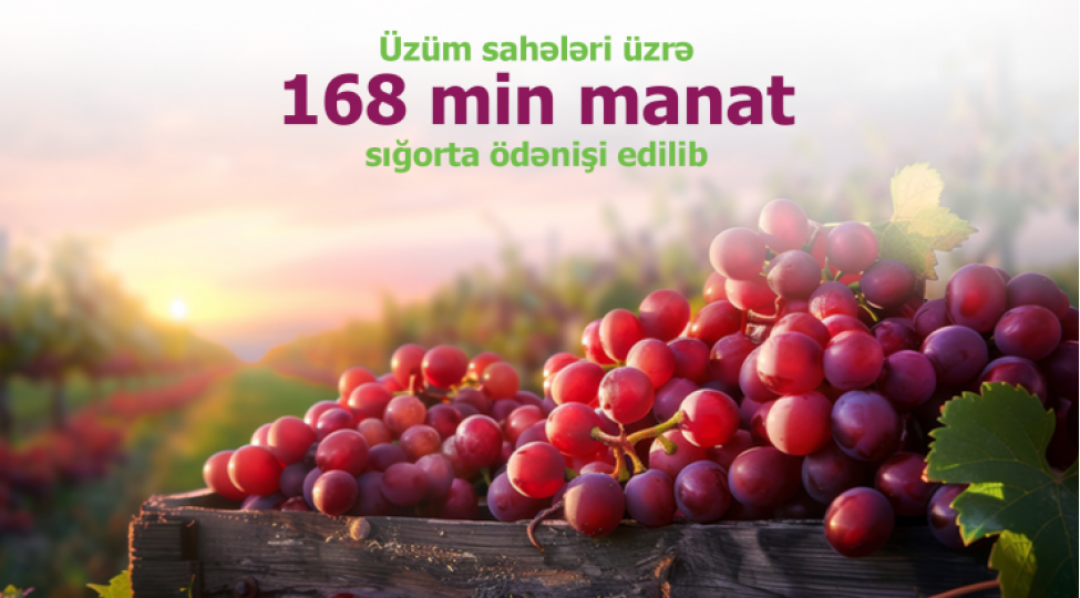 aqrar-sigorta-fondu-uzum-saheleri-uzre-168-min-manat-sigorta-odenishi-edib