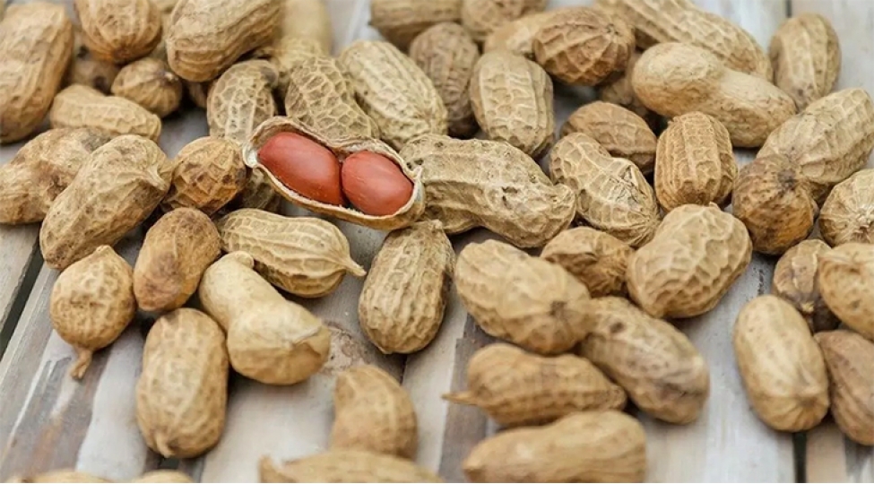 kobia-yerfindigi-ile-bagli-daxili-bazar-arashdirmasi-aparacaq