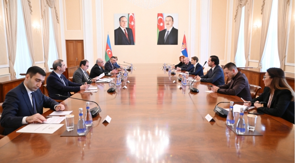 eli-esedov-serbiya-milli-assambleyasinin-sedri-ile-gorushub