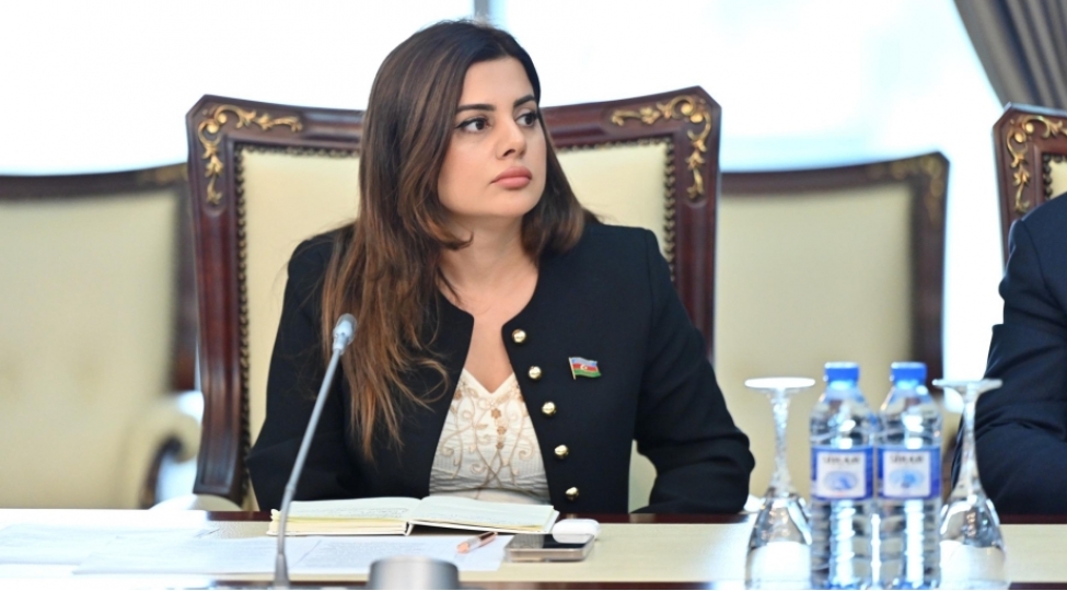 elmi-ictimaiyyet-uchun-yeni-yol-xeritesi