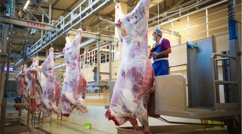 ilk-9-ayda-noqsan-ashkarlanan-et-kesimi-menteqelerinin-sayi-achiqlandi