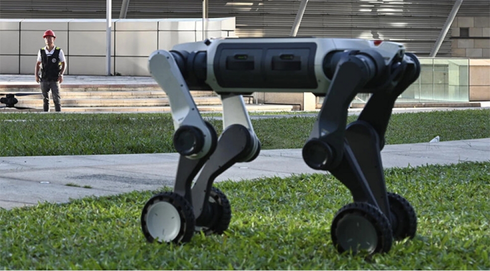 chin-polisinin-agilli-komekchileri-tehlukesizliyi-robot-itler-qoruyacaqlar