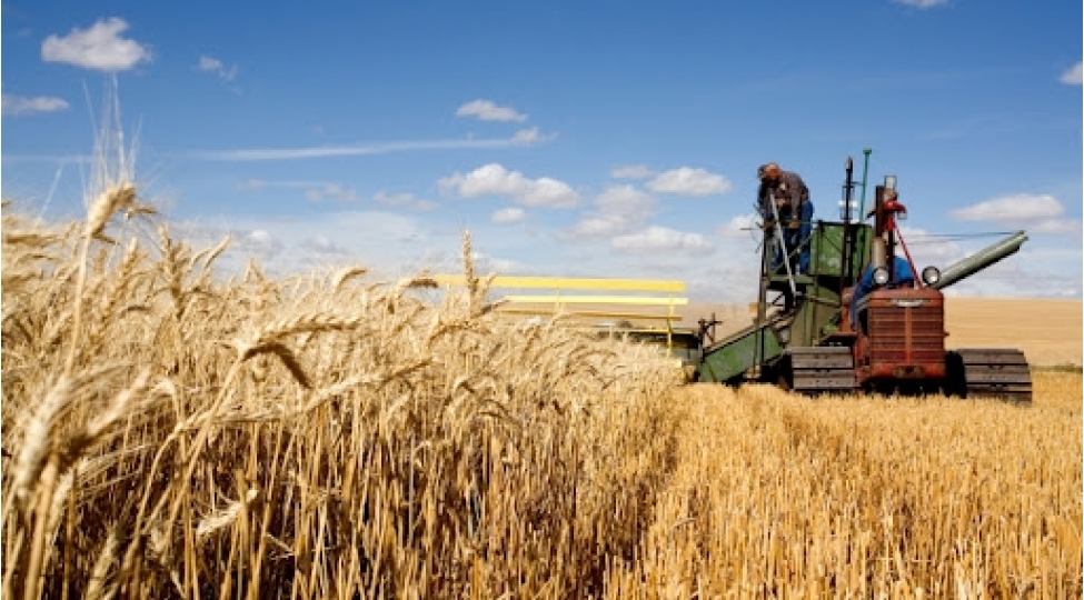 aqrar-sigorta-fondu-gelen-ilin-sigortasina-start-verib