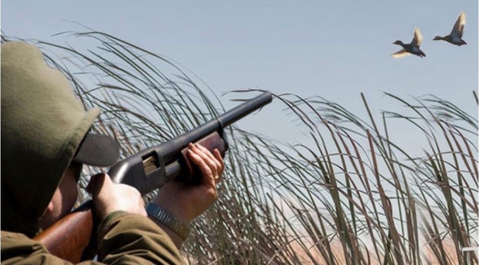 astarada-qanunsuz-ov-eden-shexsler-saxlaniliblar