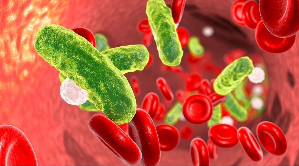 sepsisin-artan-tehlukesi