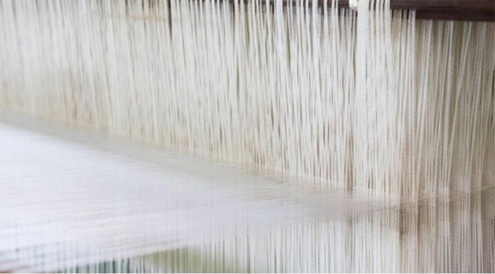 azerbaycan-pambiq-ipliyi-istehsalini-23-artirib