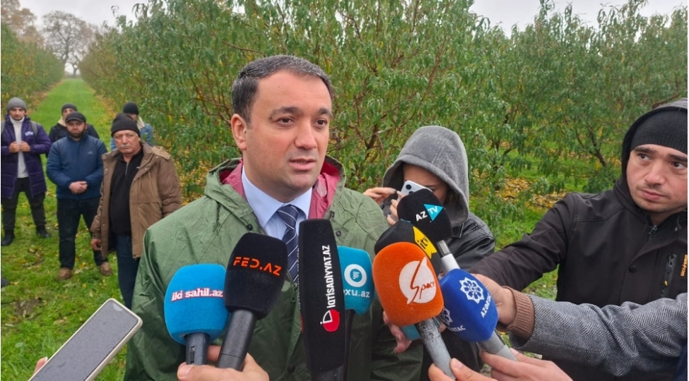 meyve-baglarinda-ilk-defe-en-boyuk-sigorta-odenishi-heyata-kechirilib