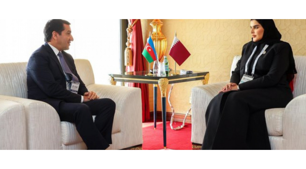 hikmet-haciyev-qeterin-dovlet-naziri-ile-gorushub