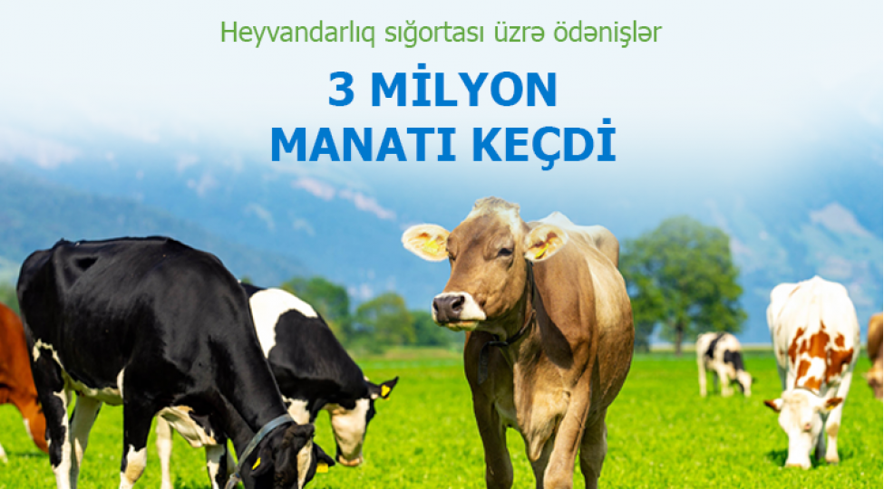 heyvandarliq-sigortasi-uzre-32-milyon-manat-odenish-heyata-kechirilib