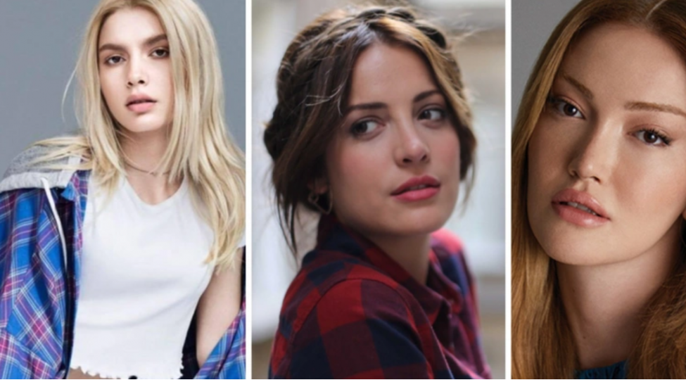 turkiyede-bir-neche-taninmish-shexs-saxlanilib