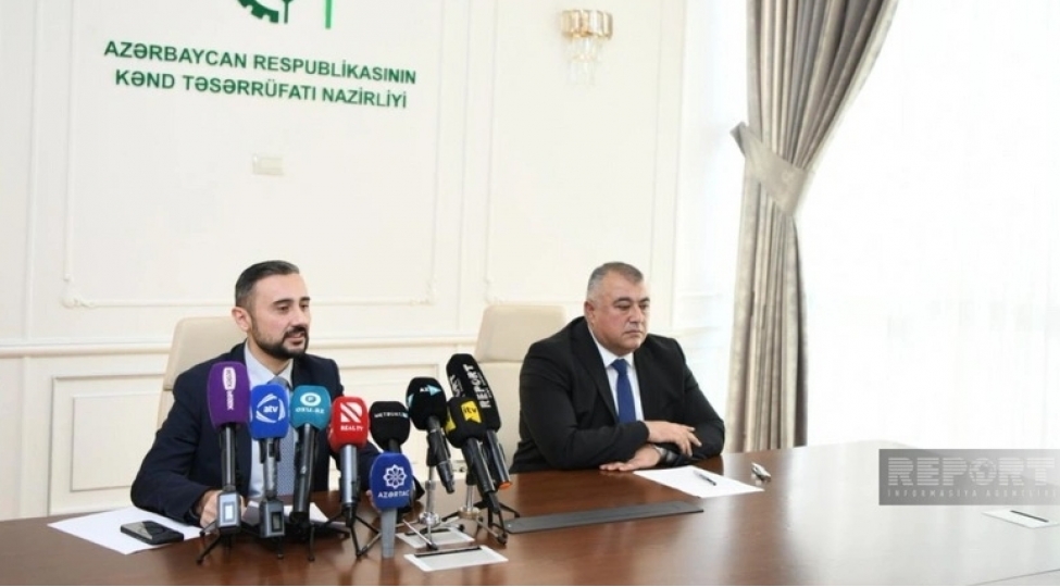 azerbaycanda-baliqchiliga-xususi-dovlet-desteyi-olacaq